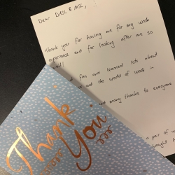 The Importance of Work Experience: A Small Business View